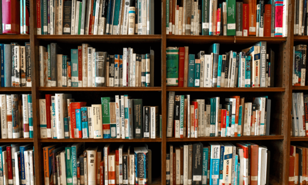 Diferença entre visualização de dados e análise de dados